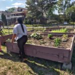 Center Outdoor Beautification Project